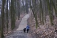/album/fotogalerie-10/dsc09455-jpg/